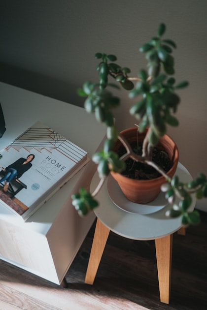 Home Aesthetics: Trends to Watch