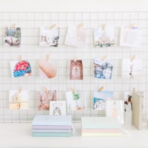 Seasonal Decor Collection